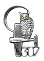 A silver badge featuring an owl with green eyes perched on an aeroplane, with the number 307 below.