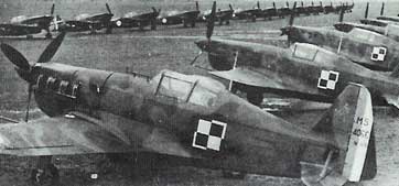 Several Second World War-era military aircraft with Polish Air Force chequerboard insignia are parked in rows on an airfield.