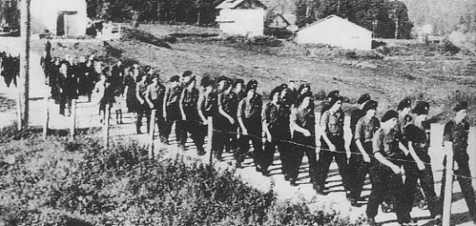 A group of people walk in a line along a dirt path outside, with several buildings and trees in the background.