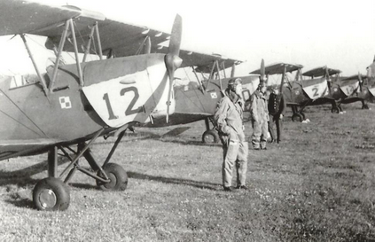 A row of vintage biplanes with visible numbers and Polish insignia are parked on grass, with several people standing beside them.