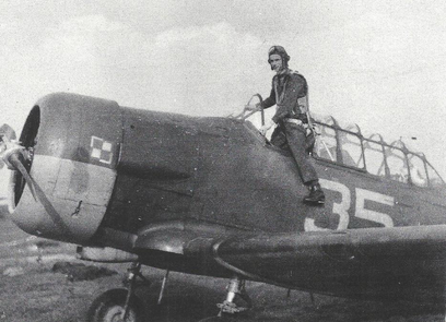 A pilot in uniform sits on the fuselage of a military aeroplane marked with the number 35 and a Polish insignia.