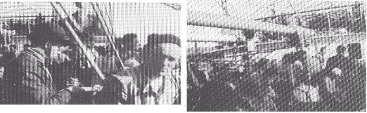 Two black and white photos show groups of people standing closely together outdoors, some carrying belongings and appearing to queue or move in a queue.