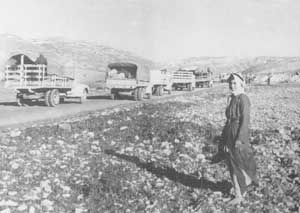 A woman stands on rocky ground near a line of lorries driving on a rural road with hills in the background.