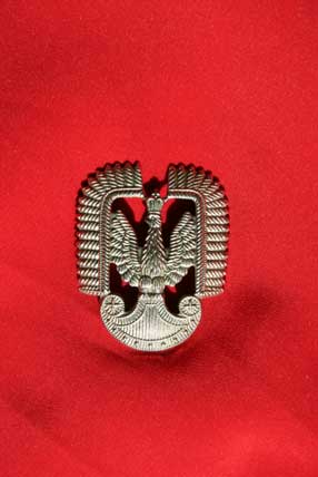 A silver military eagle emblem with a crown, displayed against a plain red background.