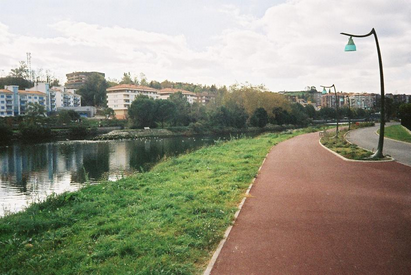 A riverside path with grass on one side and water on the other, buildings and trees in the background, and a streetlamp along the path.